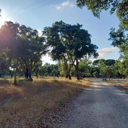 Vila Alto Alcácer do Sal Exteriér fotografie