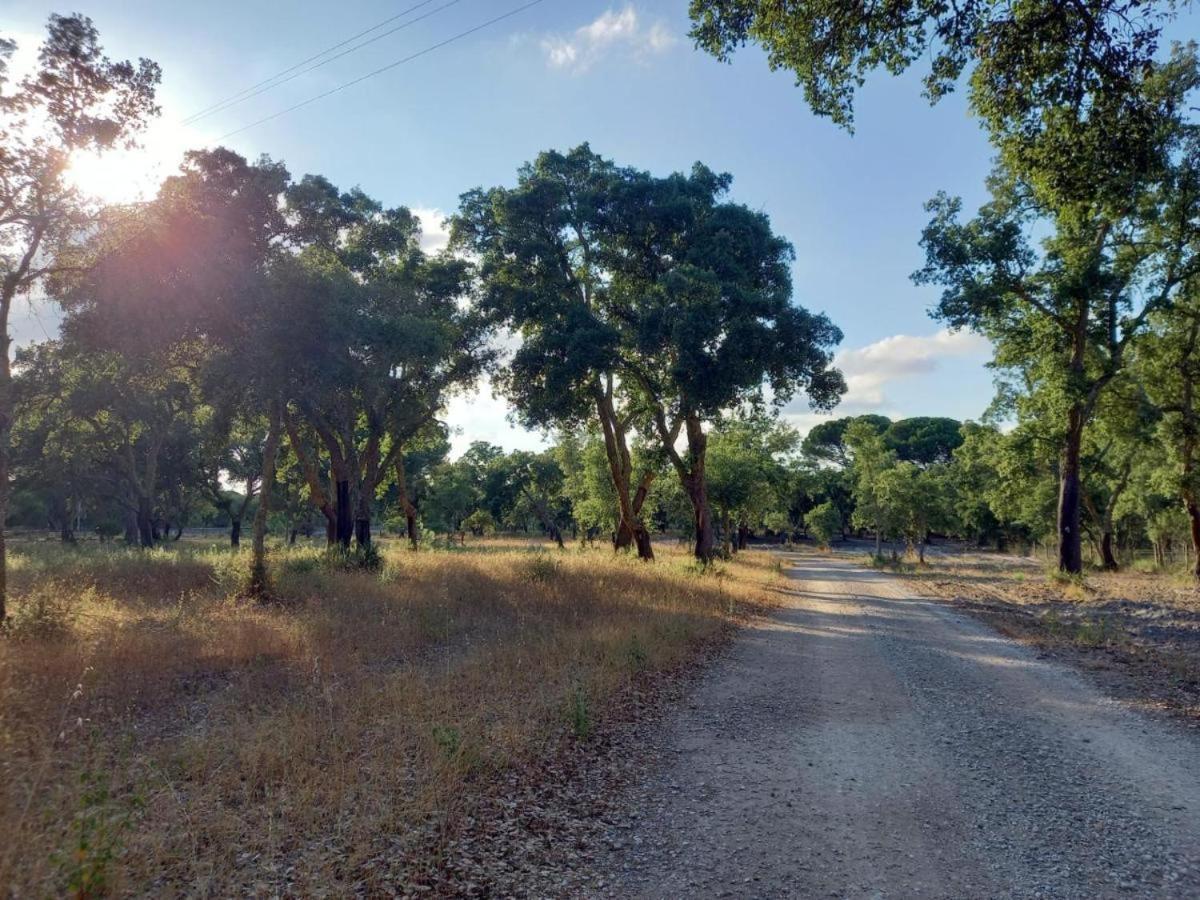 Vila Alto Alcácer do Sal Exteriér fotografie